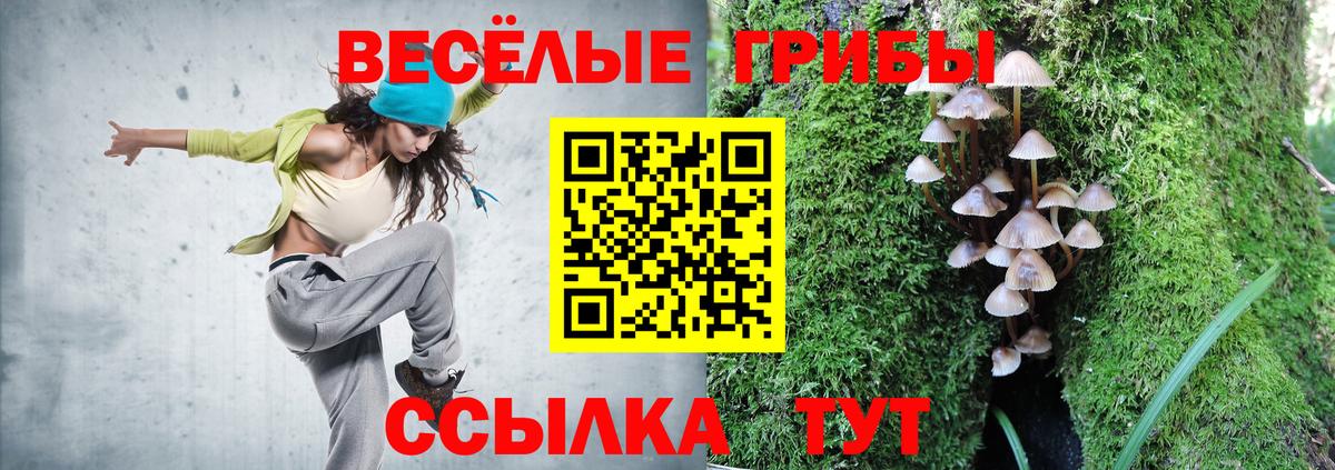 купить закладку  Галлюциногенные грибы Cubensis  Прохладный  Вход с VPN  Псилоцибиновые грибы ЛСД 